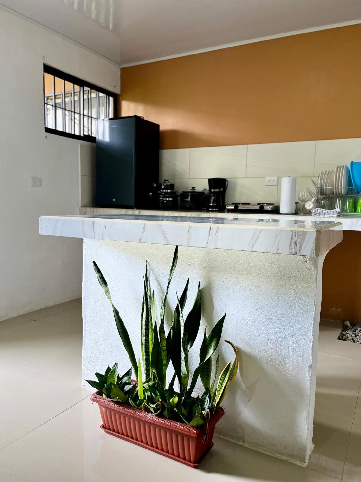 Corcovado House With Ac Apartment Puerto Jimenez Ngoại thất bức ảnh